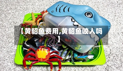 【黄貂鱼费用,黄貂鱼咬人吗】