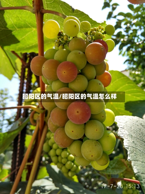 昭阳区的气温/昭阳区的气温怎么样-第1张图片