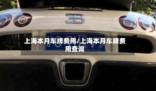 上海本月车牌费用/上海本月车牌费用查询-第2张图片