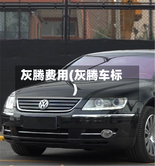 灰腾费用(灰腾车标)-第3张图片