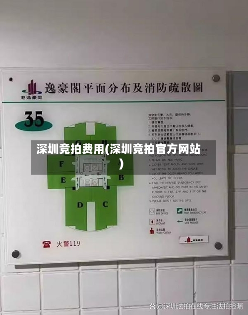深圳竞拍费用(深圳竞拍官方网站)-第3张图片