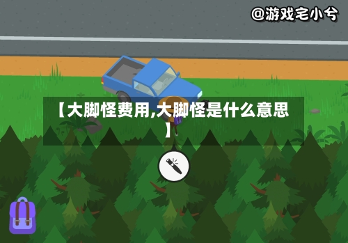 【大脚怪费用,大脚怪是什么意思】