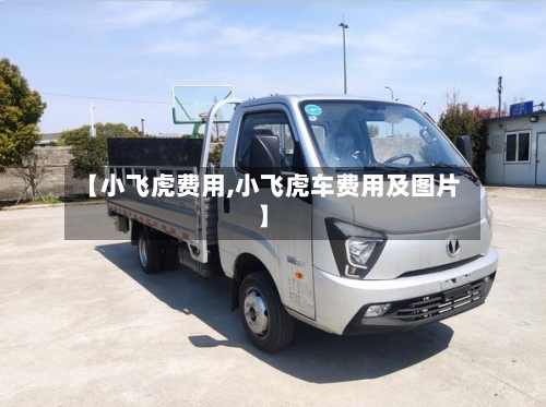 【小飞虎费用,小飞虎车费用及图片】