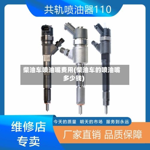 柴油车喷油嘴费用(柴油车的喷油嘴多少钱)