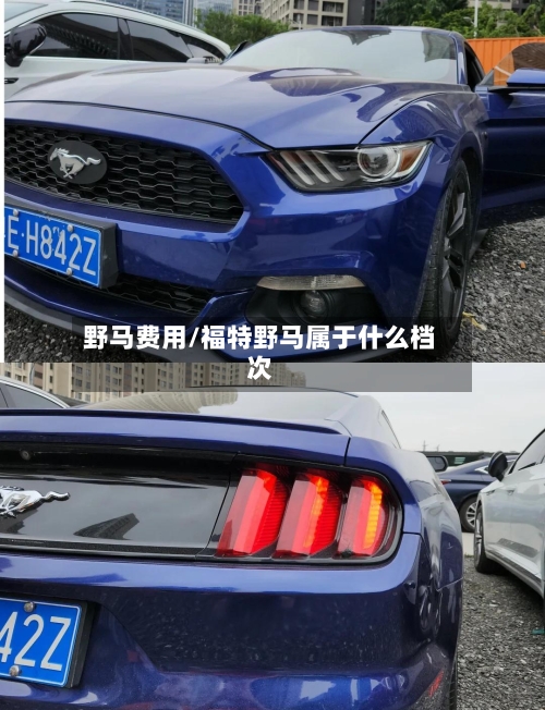 野马费用/福特野马属于什么档次