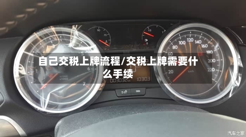 自己交税上牌流程/交税上牌需要什么手续