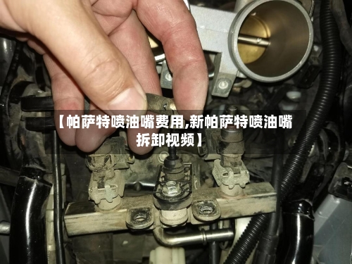 【帕萨特喷油嘴费用,新帕萨特喷油嘴拆卸视频】-第2张图片