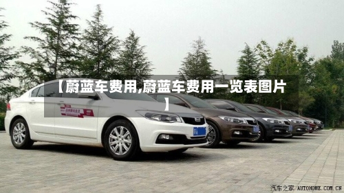 【蔚蓝车费用,蔚蓝车费用一览表图片】