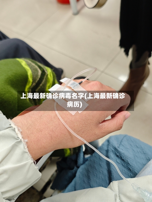 上海最新确诊病毒名字(上海最新确诊病历)-第2张图片