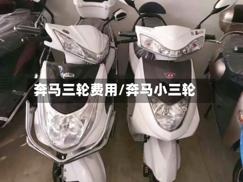 奔马三轮费用/奔马小三轮
