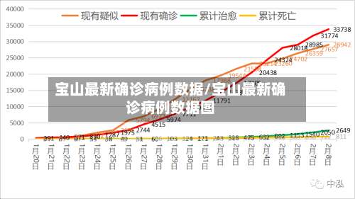 宝山最新确诊病例数据/宝山最新确诊病例数据图