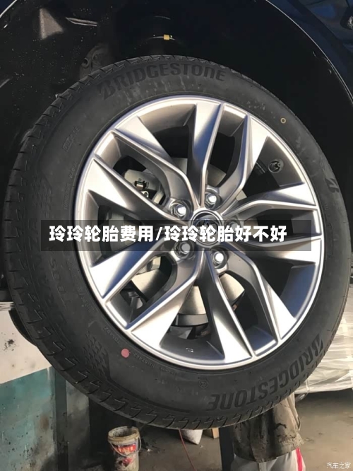 玲玲轮胎费用/玲玲轮胎好不好-第3张图片