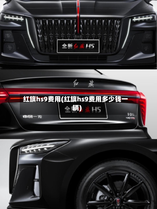 红旗hs9费用(红旗hs9费用多少钱一辆)