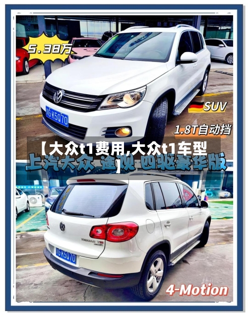 【大众t1费用,大众t1车型】-第2张图片