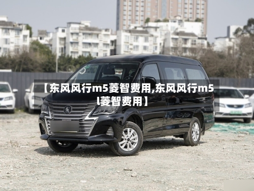 【东风风行m5菱智费用,东风风行m5l菱智费用】-第3张图片