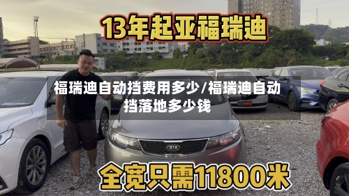 福瑞迪自动挡费用多少/福瑞迪自动挡落地多少钱-第2张图片