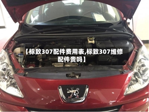 【标致307配件费用表,标致307维修配件贵吗】-第2张图片