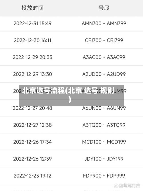 北京选号流程(北京 选号 规则)