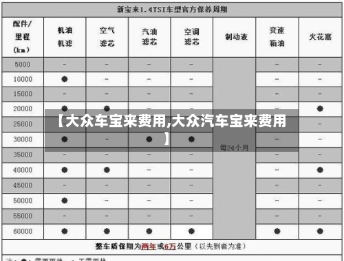 【大众车宝来费用,大众汽车宝来费用】