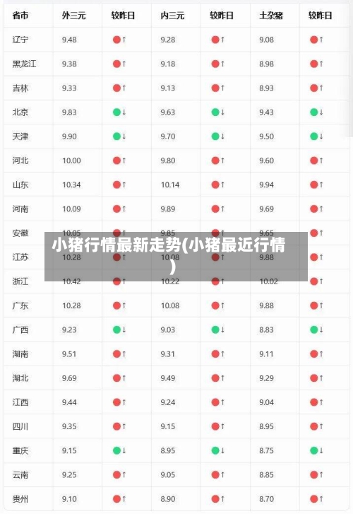 小猪行情最新走势(小猪最近行情)-第3张图片