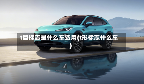 t型标志是什么车费用(t形标志什么车)-第2张图片
