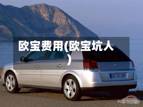 欧宝费用(欧宝坑人)-第2张图片