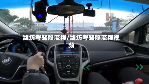 潍坊考驾照流程/潍坊考驾照流程视频-第3张图片