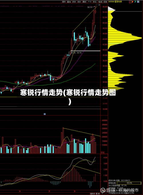 寒锐行情走势(寒锐行情走势图)-第2张图片