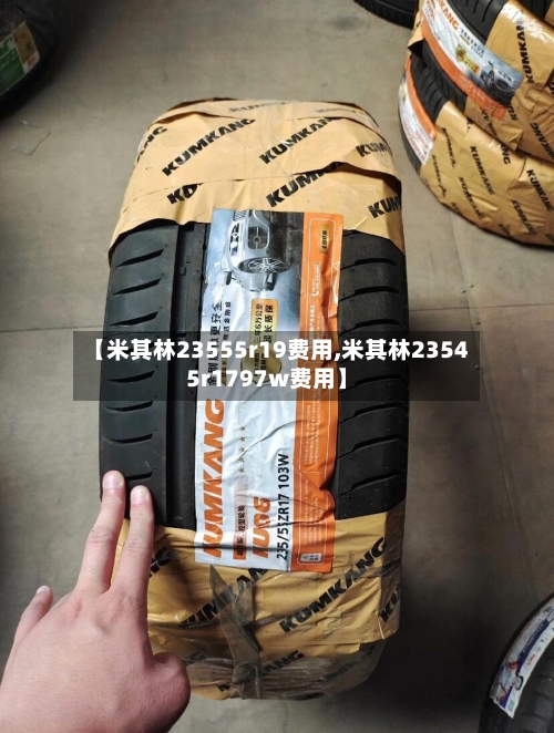 【米其林23555r19费用,米其林23545r1797w费用】-第3张图片