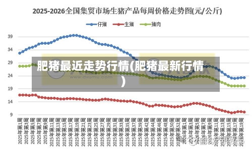 肥猪最近走势行情(肥猪最新行情)
