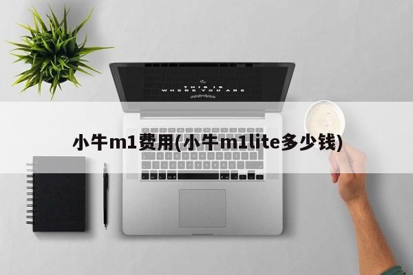 小牛m1费用(小牛m1lite多少钱)