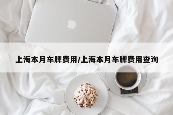 上海本月车牌费用/上海本月车牌费用查询