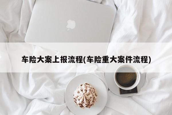 车险大案上报流程(车险重大案件流程)