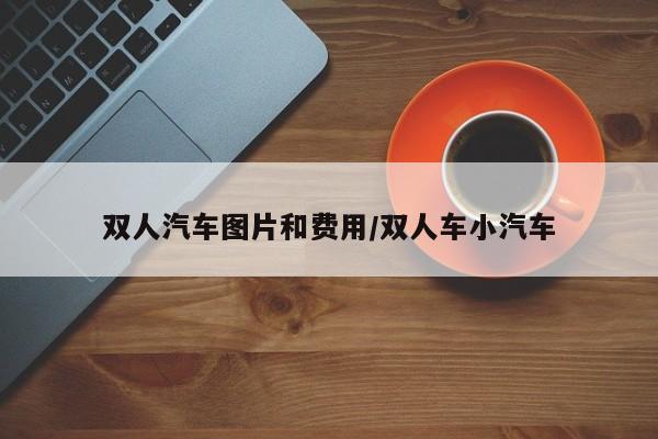 双人汽车图片和费用/双人车小汽车
