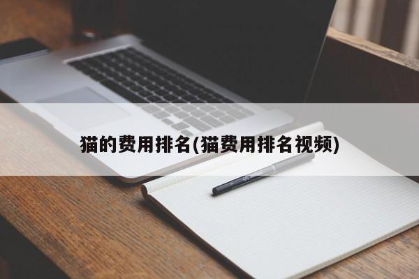 猫的费用排名(猫费用排名视频)