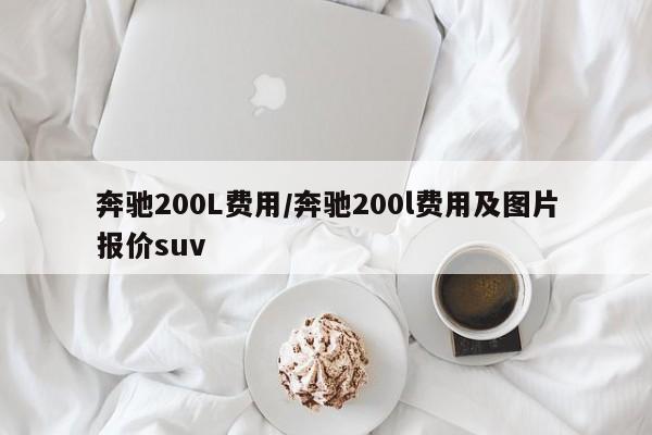 奔驰200L费用/奔驰200l费用及图片报价suv