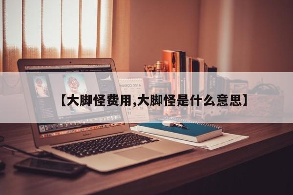 【大脚怪费用,大脚怪是什么意思】