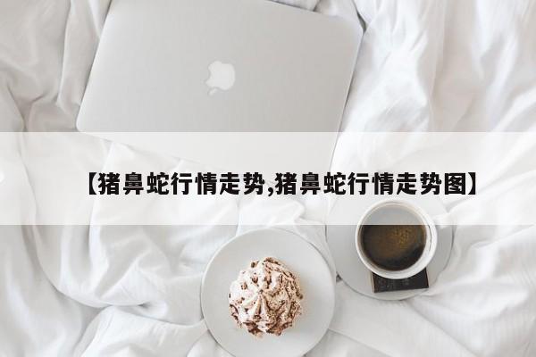 【猪鼻蛇行情走势,猪鼻蛇行情走势图】