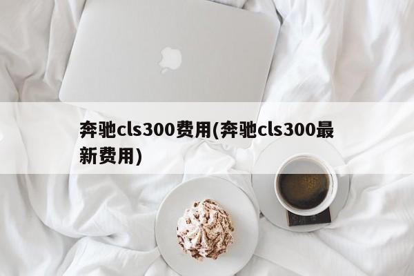 奔驰cls300费用(奔驰cls300最新费用)