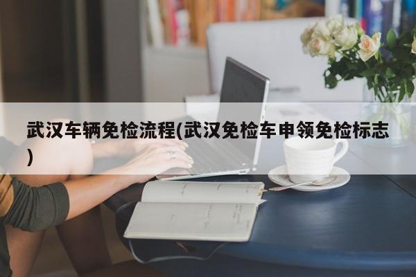 武汉车辆免检流程(武汉免检车申领免检标志)