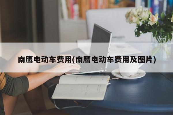 南鹰电动车费用(南鹰电动车费用及图片)