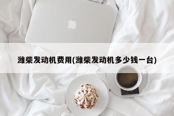 潍柴发动机费用(潍柴发动机多少钱一台)