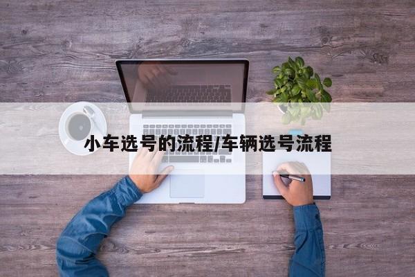 小车选号的流程/车辆选号流程